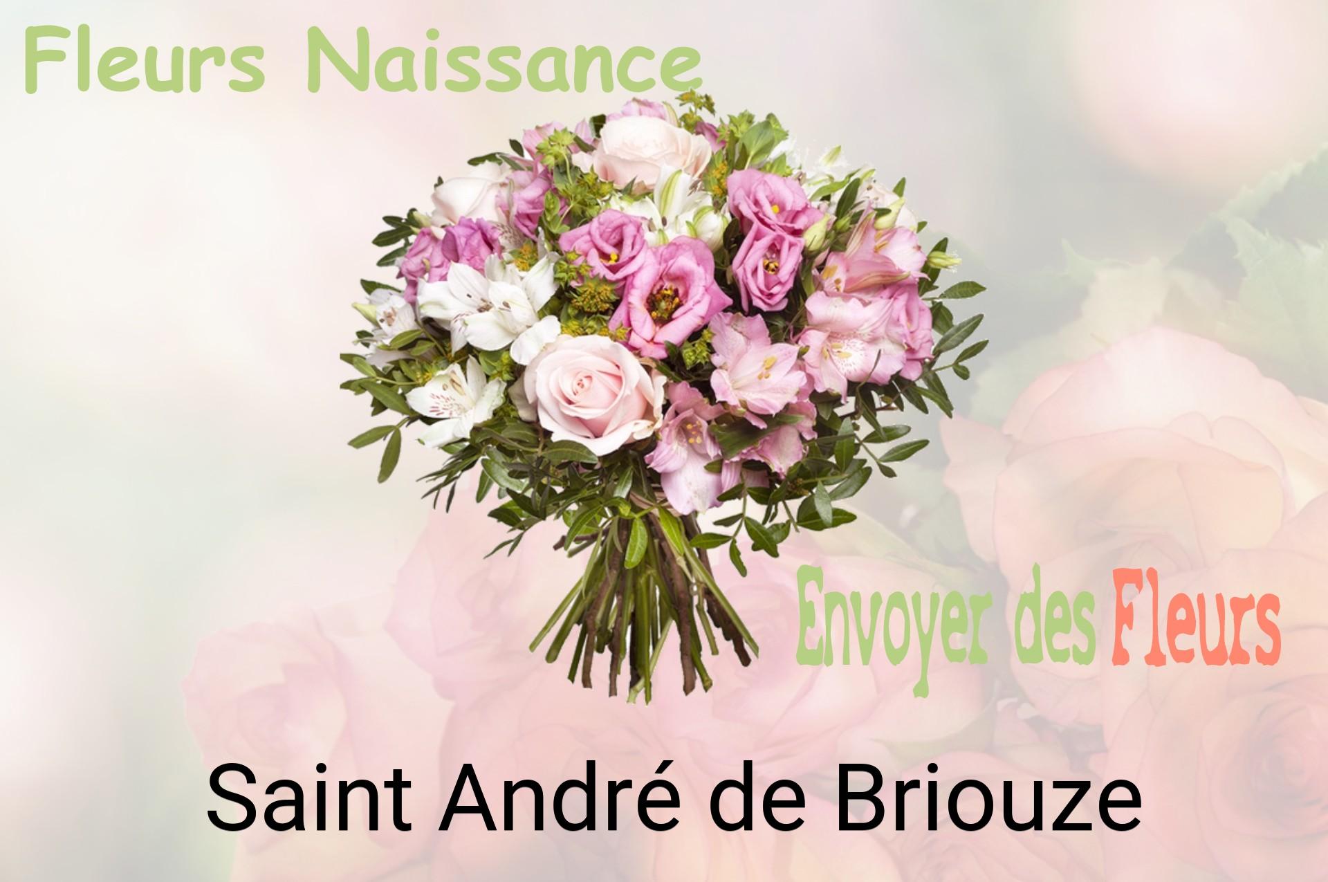 Bouquet de fleurs de naissance livré à Saint-André-de-Briouze