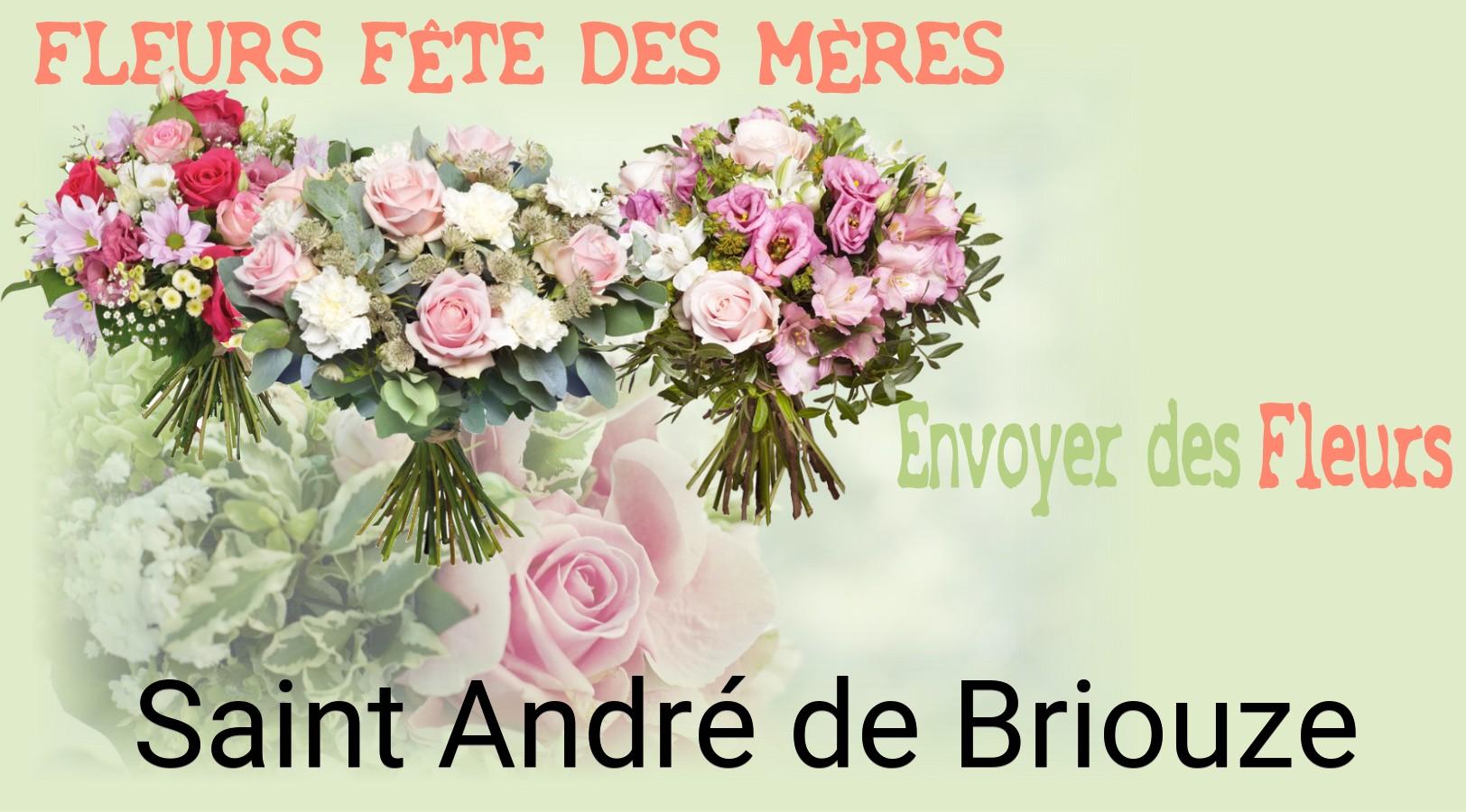 Bouquet de Fête des Mères livré à Saint-André-de-Briouze